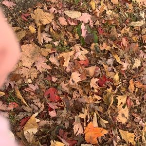 Meet your Posher, Mich